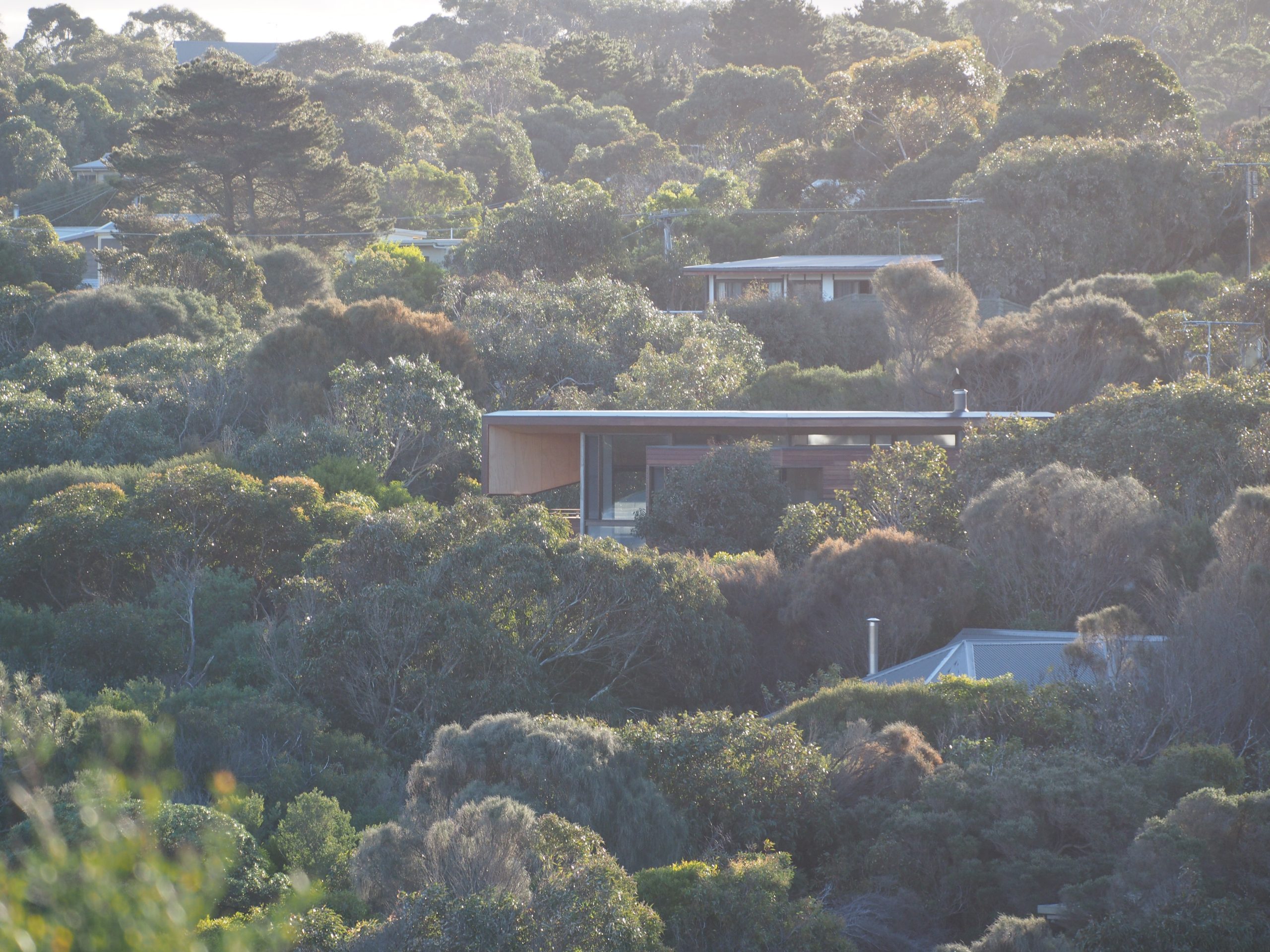 OLYMPUS DIGITAL CAMERA OLYMPUS DIGITAL CAMERA